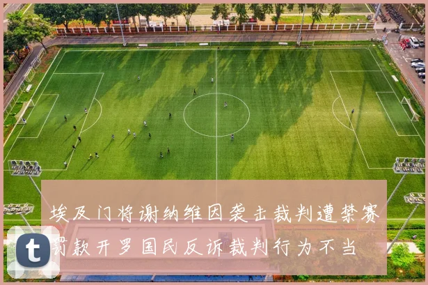 埃及门将谢纳维因袭击裁判遭禁赛罚款开罗国民反诉裁判行为不当
