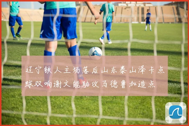 辽宁铁人主场落后山东泰山泽卡点球双响谢文能助攻马德鲁加造点